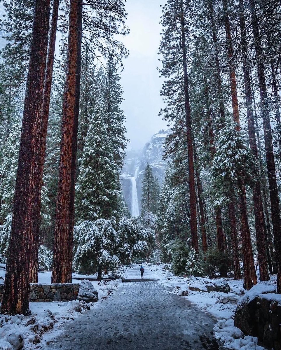 Wander Aesthetic tweet media