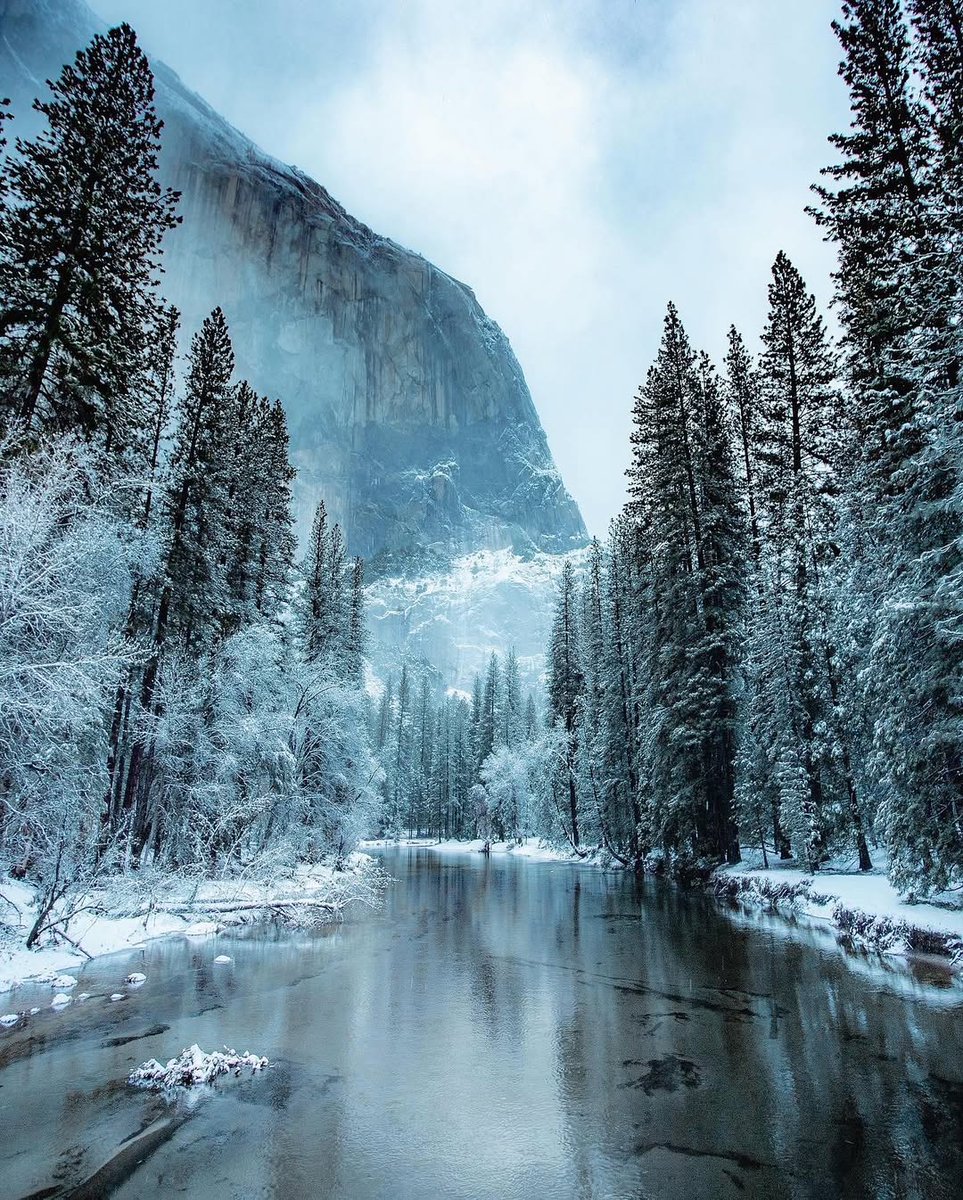 Wander Aesthetic tweet media