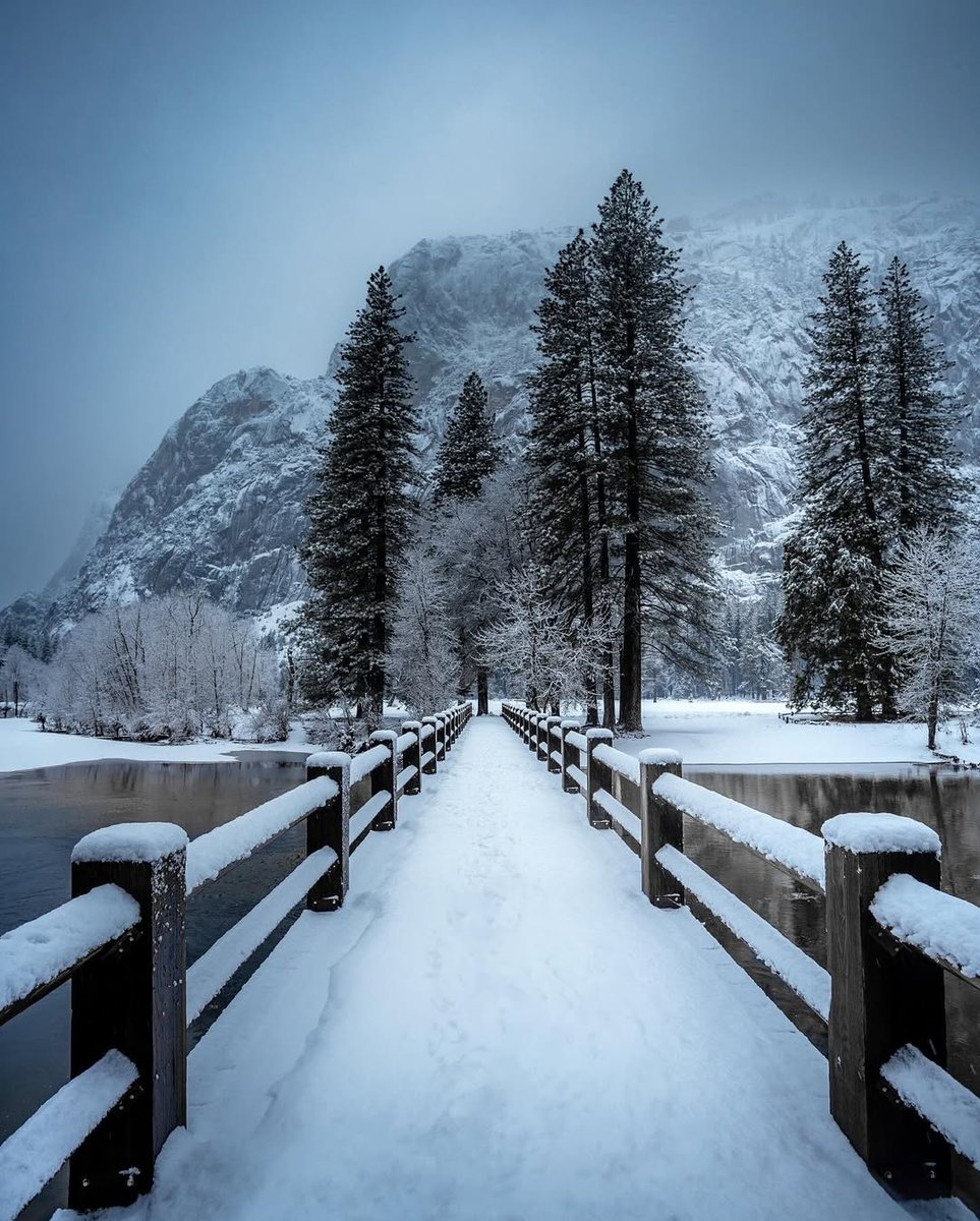 Wander Aesthetic tweet media