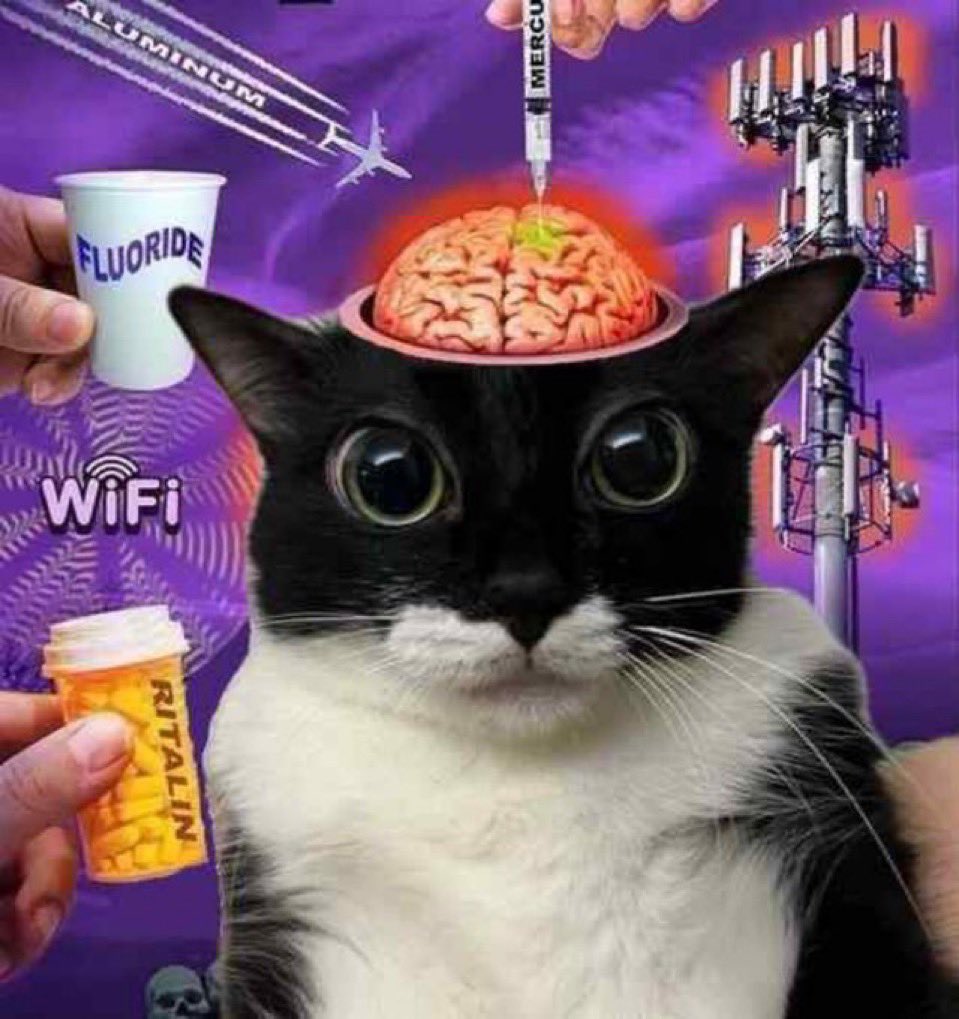 Marina jurídico op quarentena tweet media