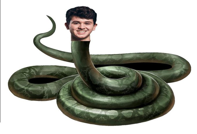 Flowzery tweet media