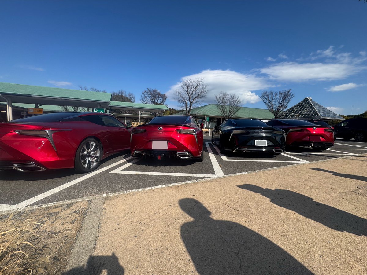 ふぁろ tweet media