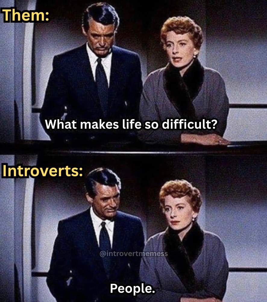 All About Introverts tweet media