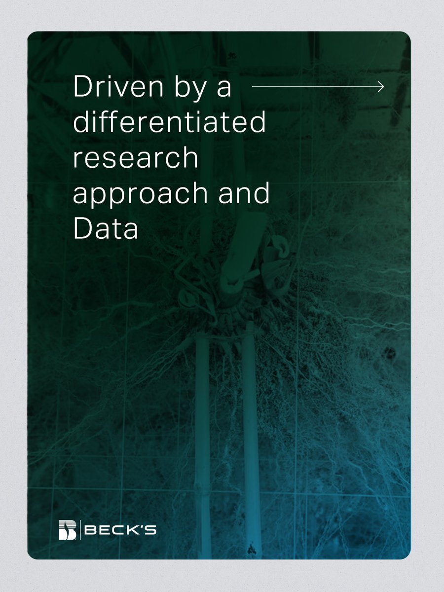 Beck's Hybrids tweet media