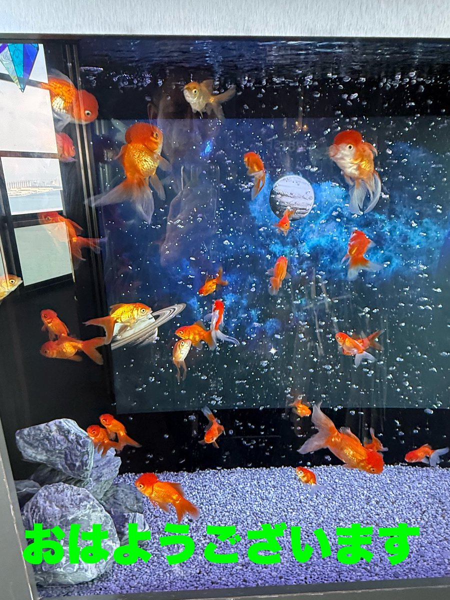 さんぺい tweet media