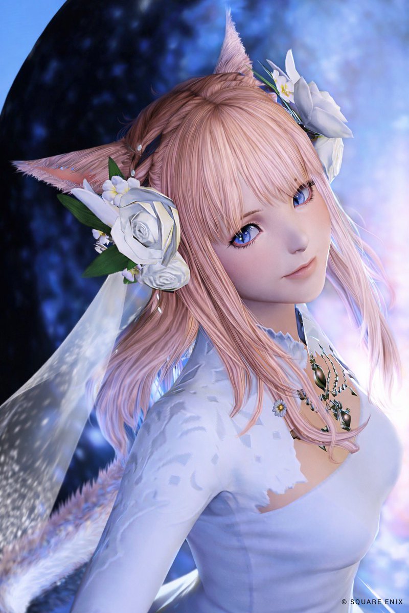 あや❖Garuda tweet media