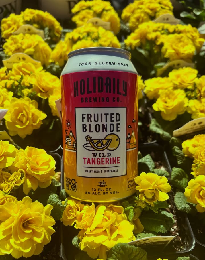 HolidailyBrew's tweet photo. Spring is bursting out everywhere including our Fruited Blonde Variety Pack. Three refreshing flavors that pair perfectly with fresh flowers &amp; sunshine 🌷☀️

100% Gluten-Free. 100% Great Beer. 

🔗 Find it today on our Beer Finder ➡️ https://t.co/gFM0xvXTFx https://t.co/IeNBBYGkfz