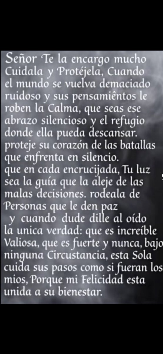 Tadeo Cámara 🐦 tweet media