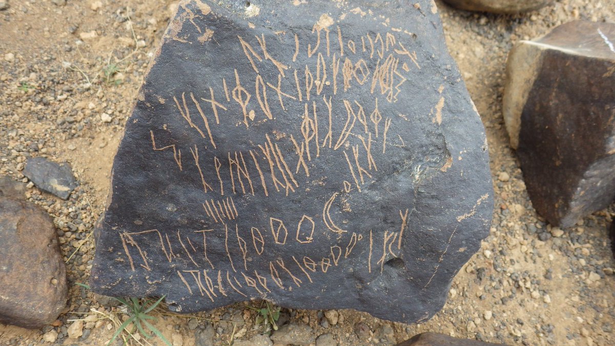 شمر ‏🇸🇦 tweet media