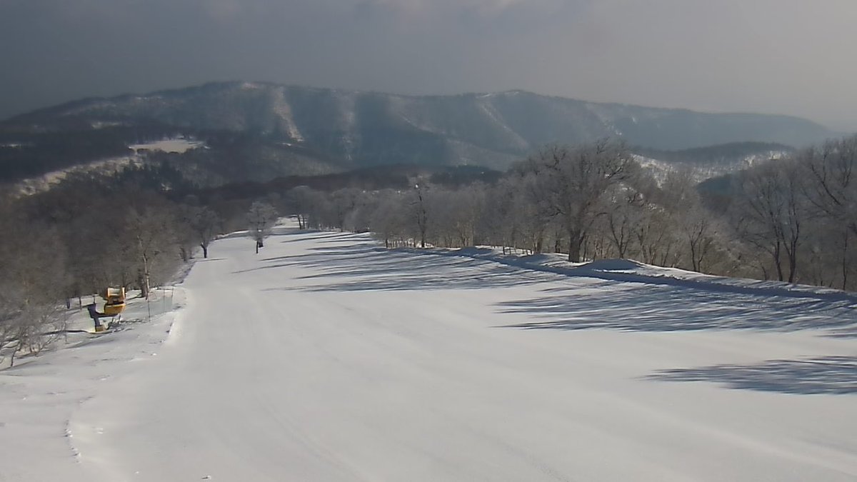 スキー場情報局 tweet media