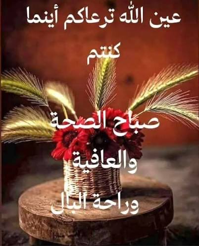 أسعد tweet media