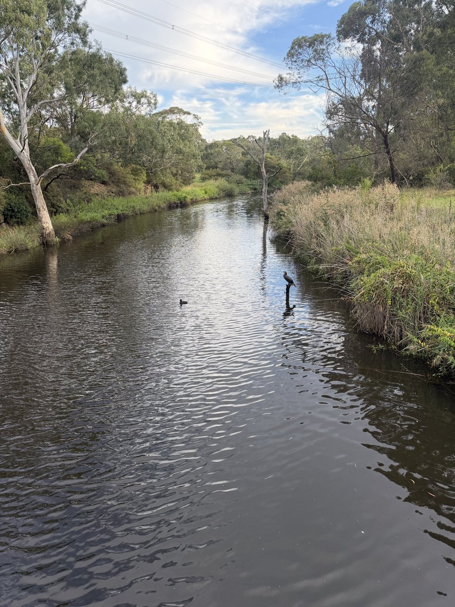 ✨Enjoy the Day✨ tweet media