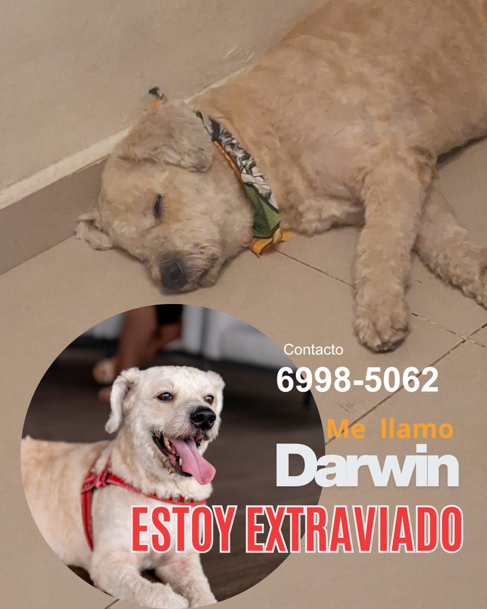 Lyss 🇸🇻 tweet media