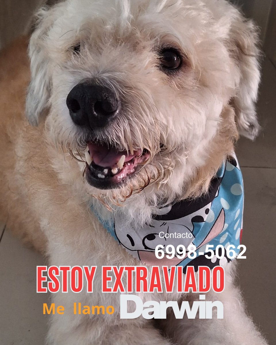 Lyss 🇸🇻 tweet media