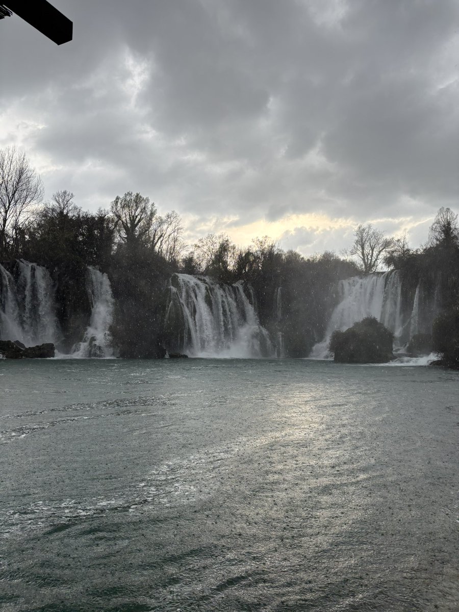 Pavel Vasiliev tweet media