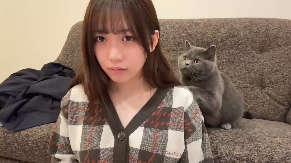 クリッパーびんびん年中無休 tweet media