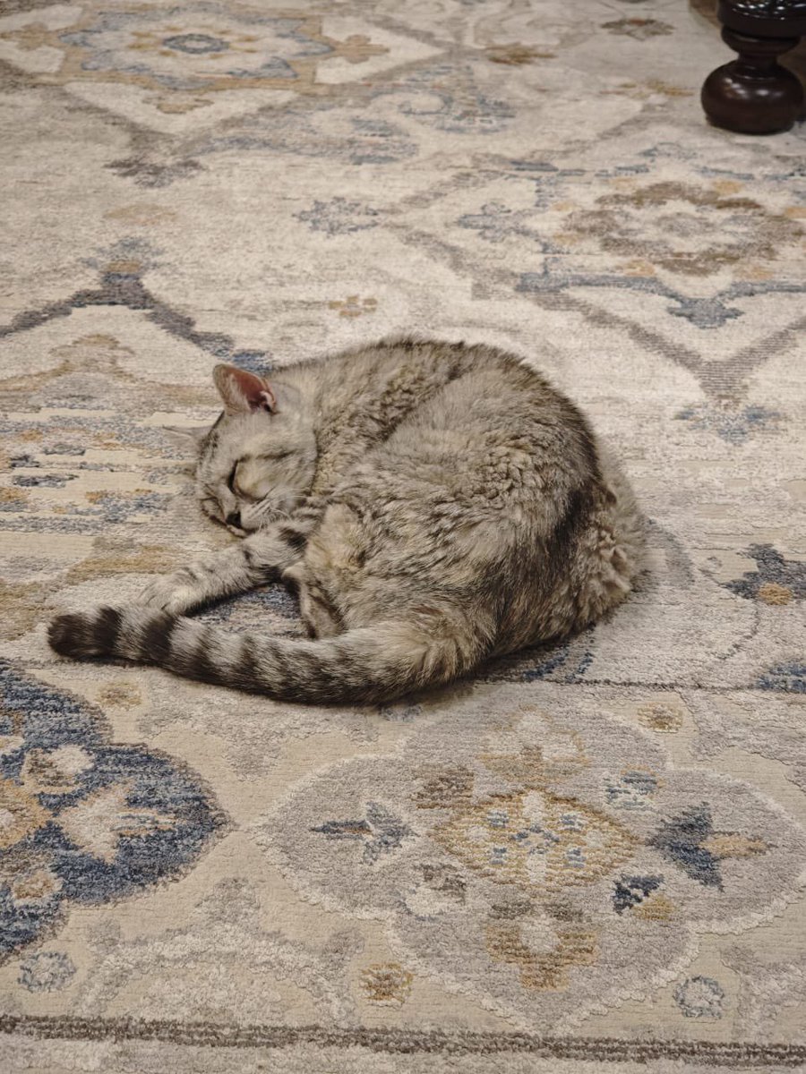 Engmanalrescuer tweet media