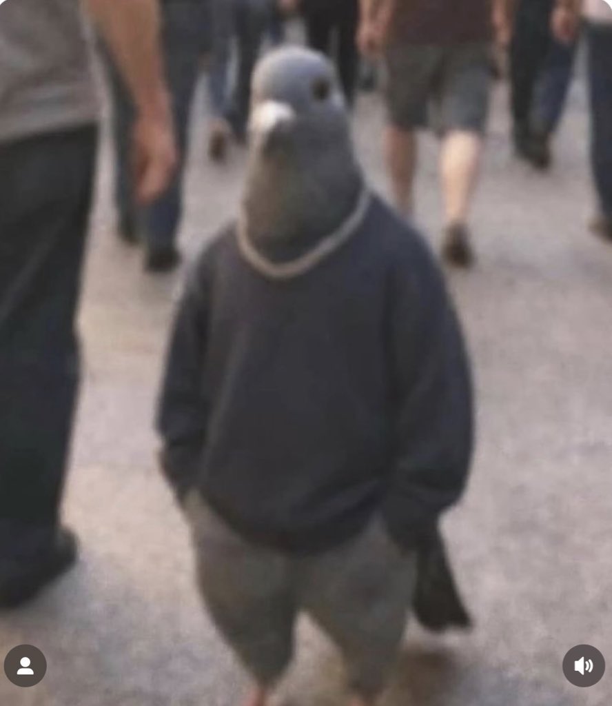 jeremy ꨄ tweet media