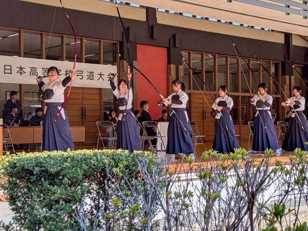 柏木はひ tweet media