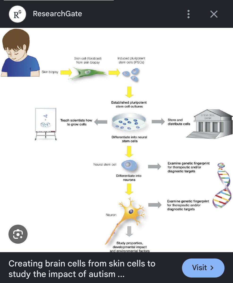 Temple Nuke tweet media
