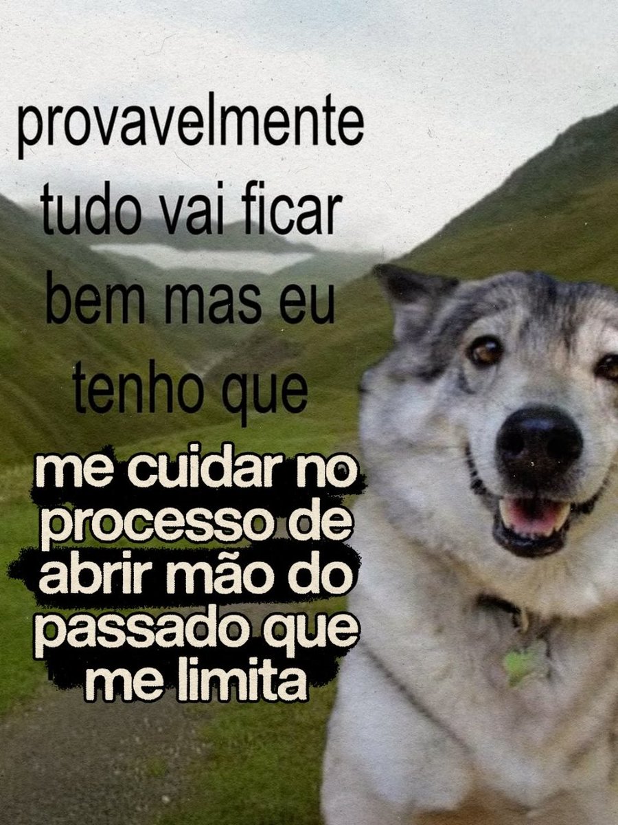 Clareza Mental tweet media