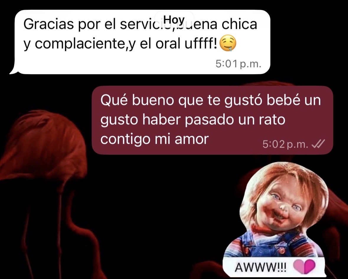 Samantha Zamudio tweet media