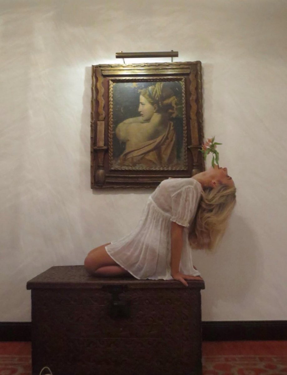 darcy fwd: tweet media