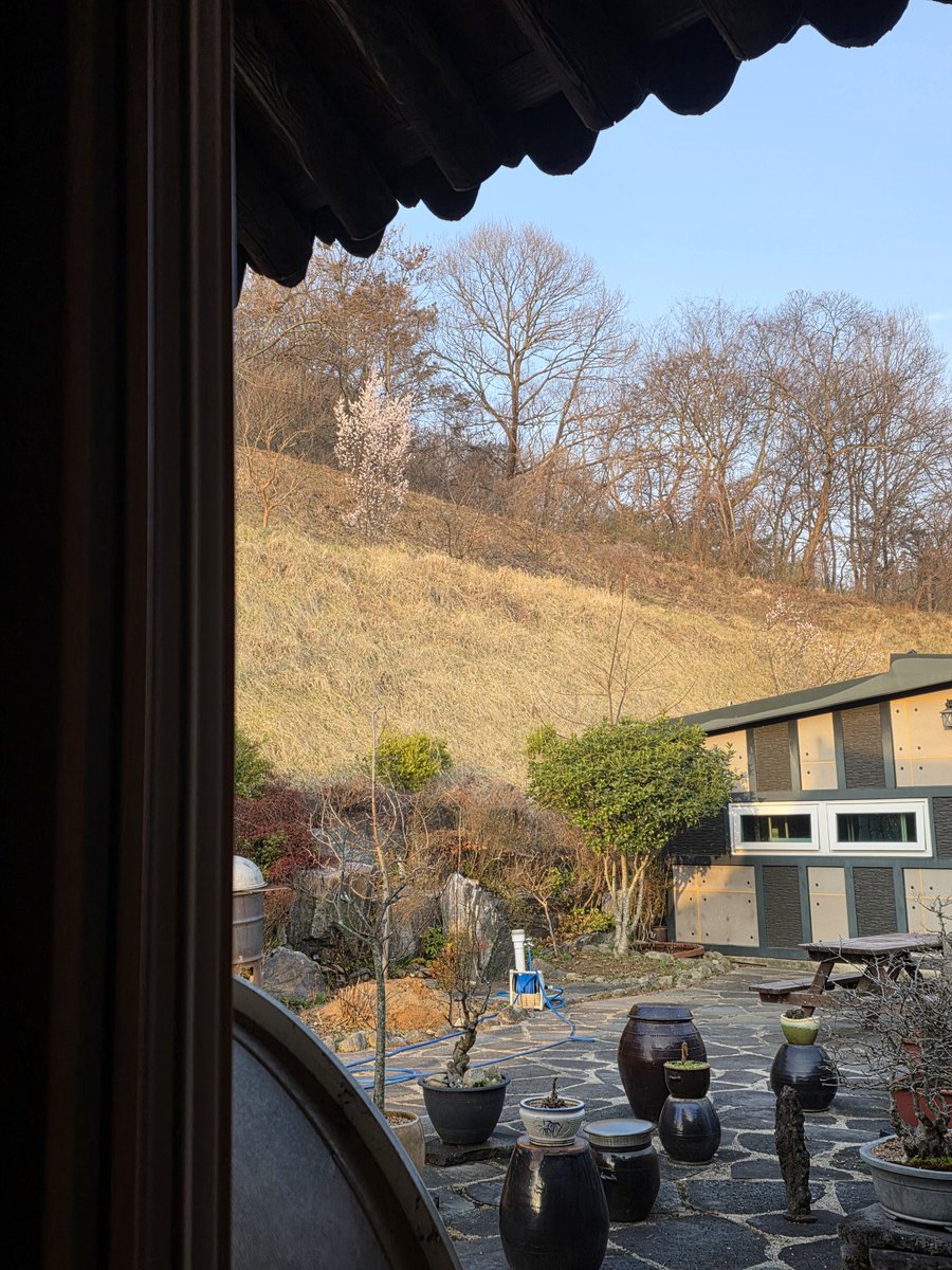 국민의힘 전남도당 위원장 tweet media