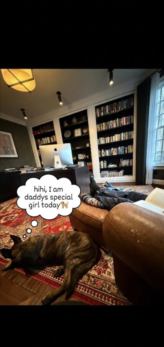 Macro trader and gambler tweet media