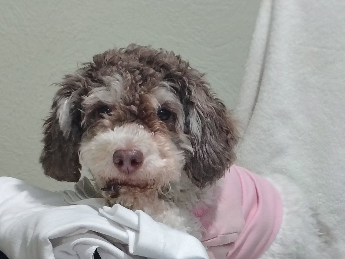 pяεттყтяคหcεłσvεя 😍🎧🎶🎶🔥💙 tweet media