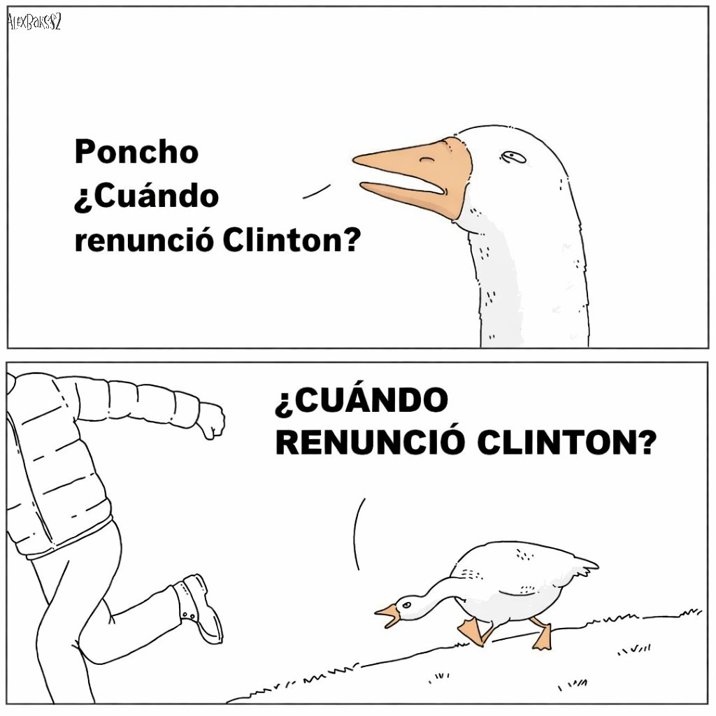 Alex Baqueiro tweet media