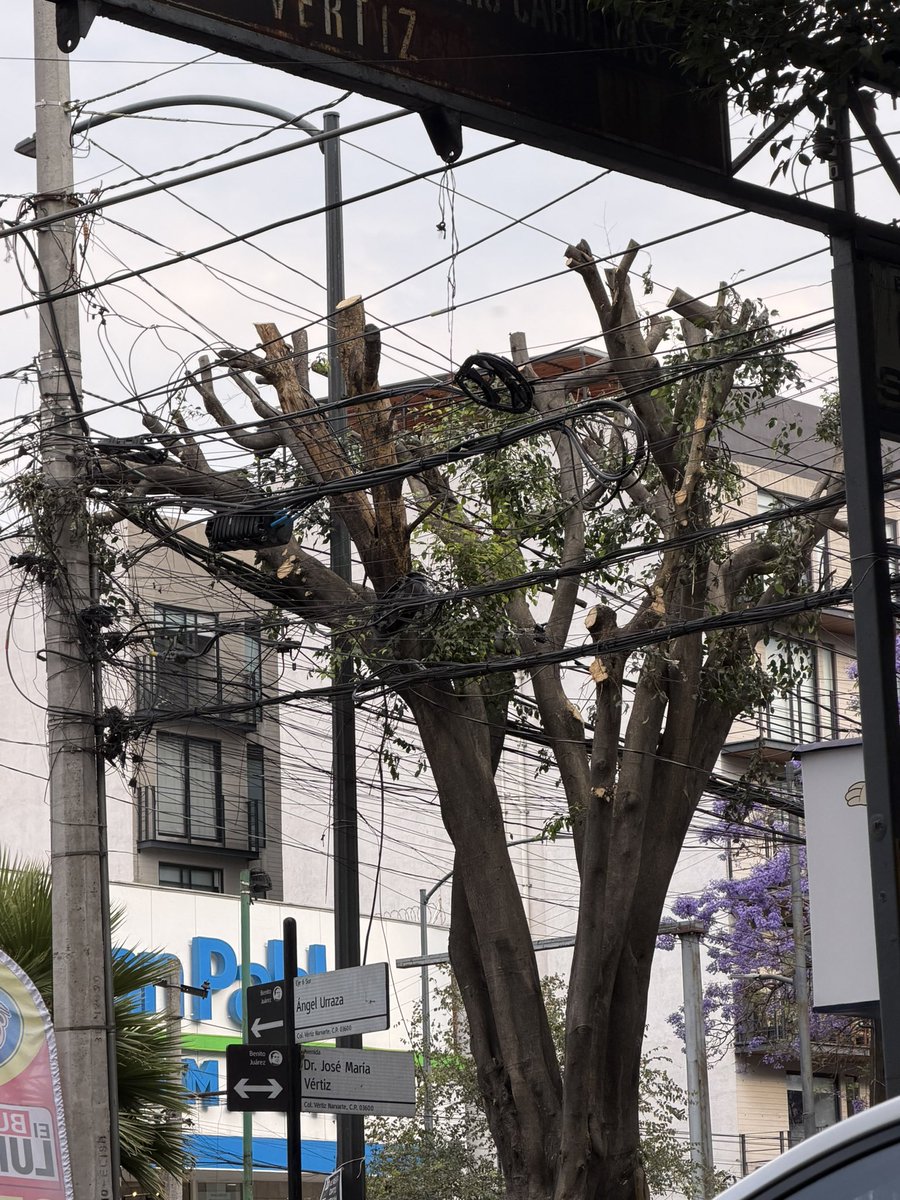 🅿️🅰️🅾️ tweet media