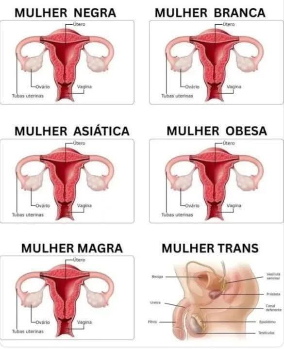Evandro_008's tweet photo. @escrevipontocom https://t.co/Yiq1ZIJA2X