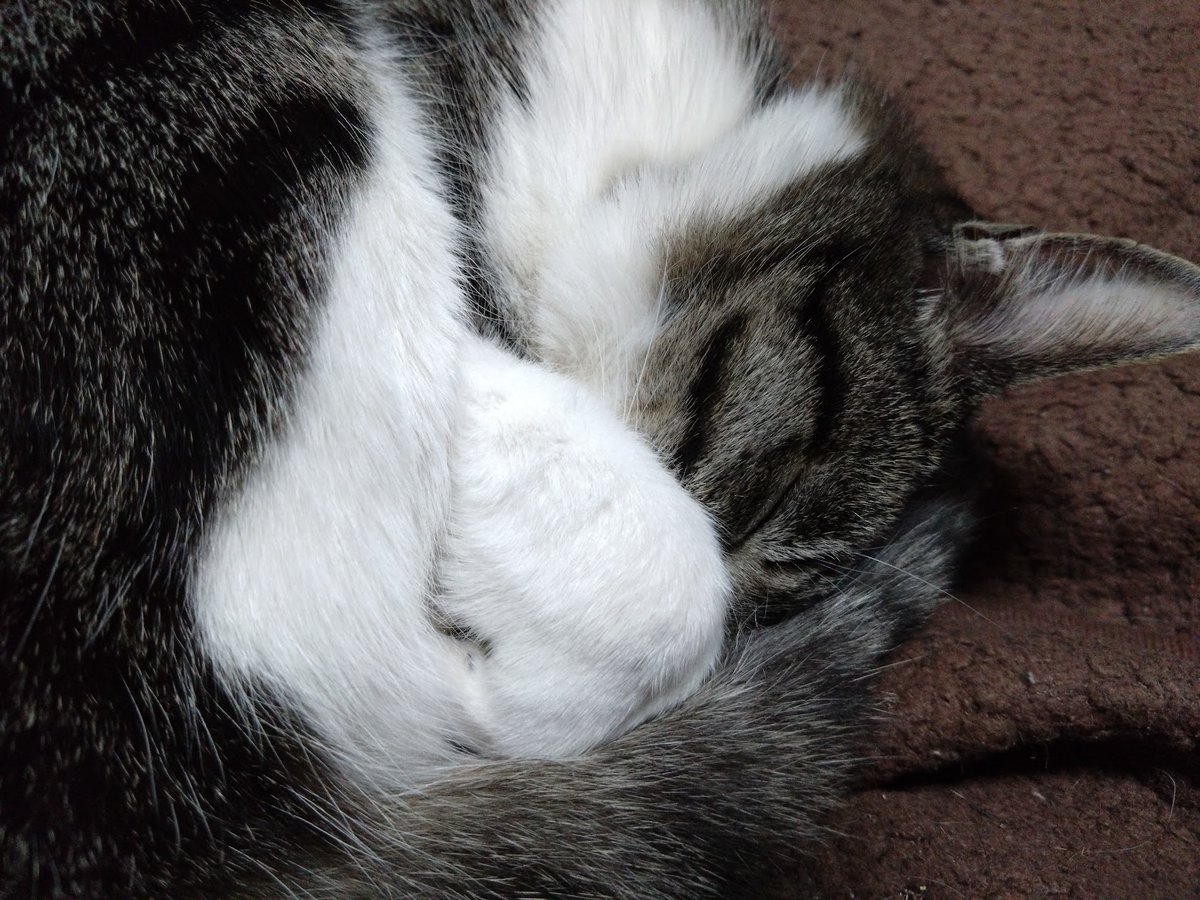 東毛電鉄（とうもうでんてつ）@猫好きレトロゲーマー tweet media