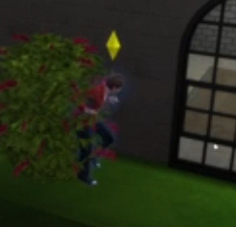 —.ᐟ‧˚𐔌꒷𝓖𝓸𝓽𝓬𝓱𝓲𝓲⋆ ۪୭ ⋮⌗˚. ᵎᵎ tweet media