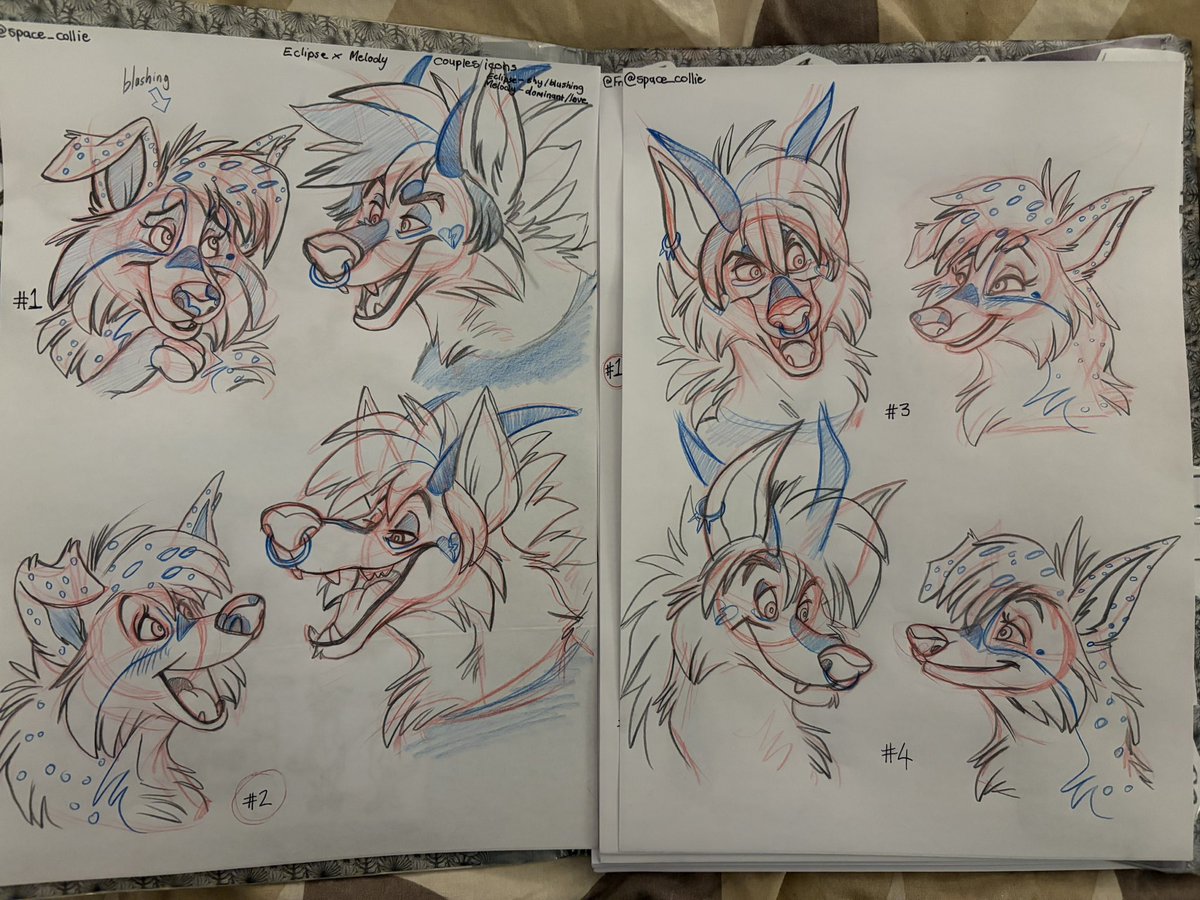 Moxi Foxi tweet media