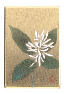 日本の誕生花 tweet media