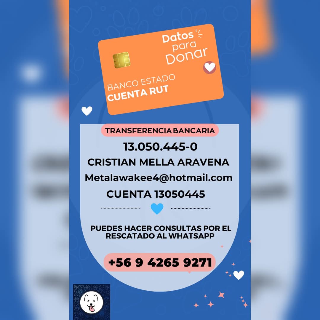 Fundación SuperCan tweet media