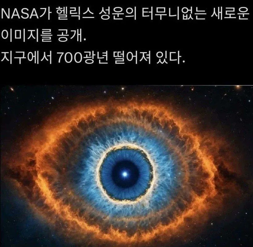 잔잔돌 tweet media