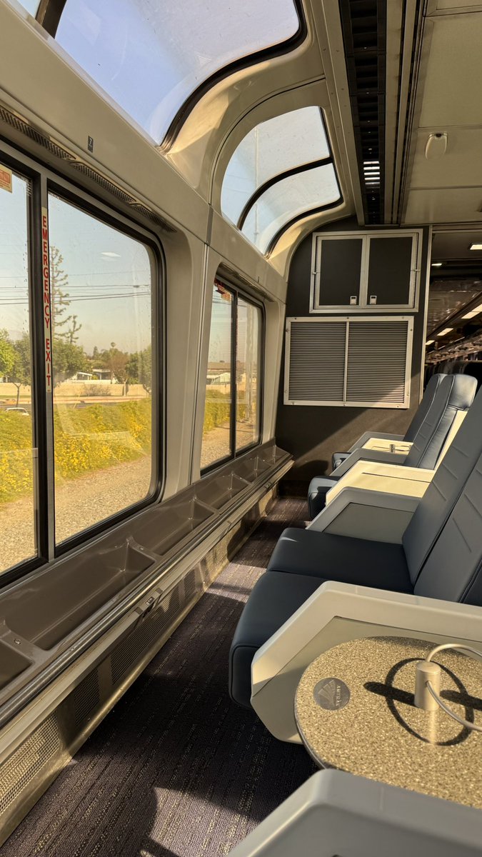 lizzie serber tweet media