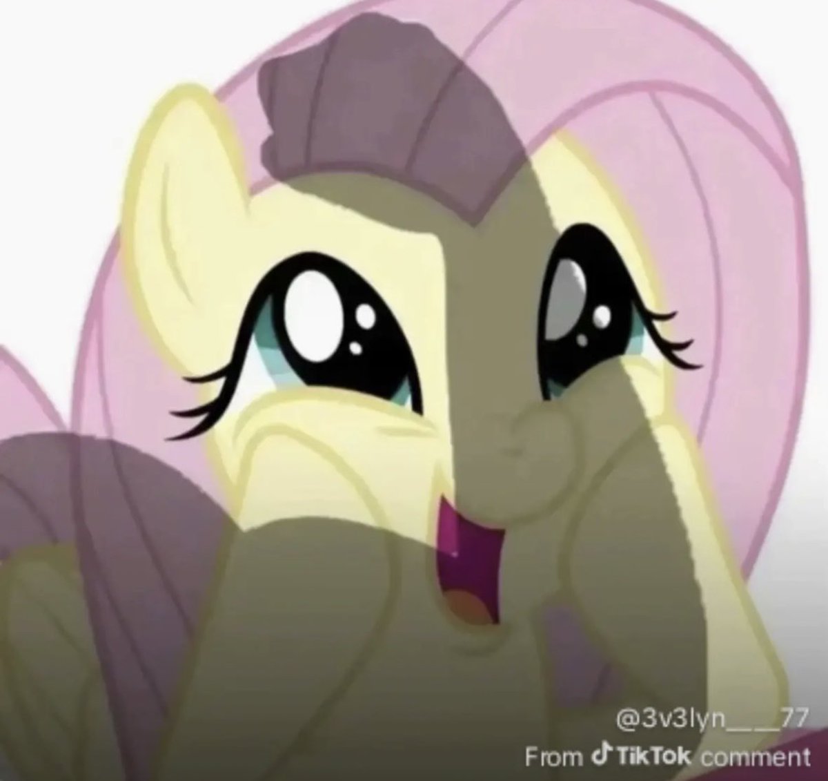 sar ‹𝟹 tweet media