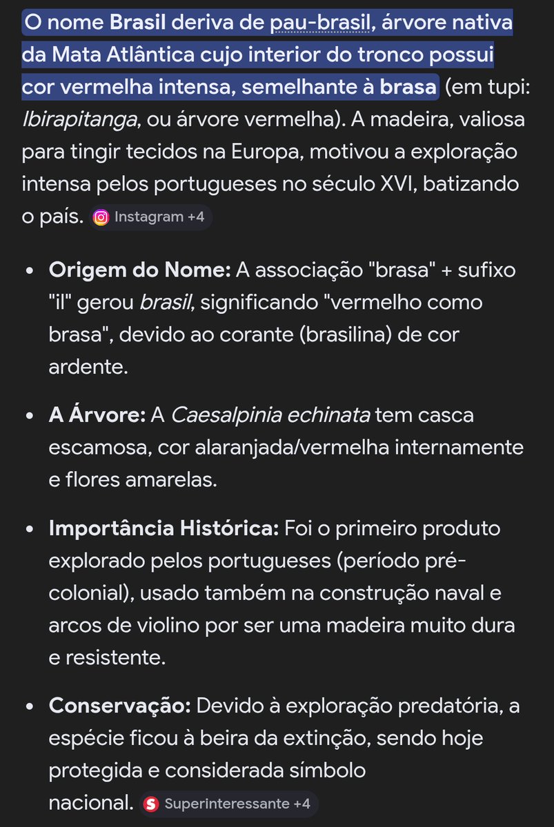 FLAMENGUISTA tweet media