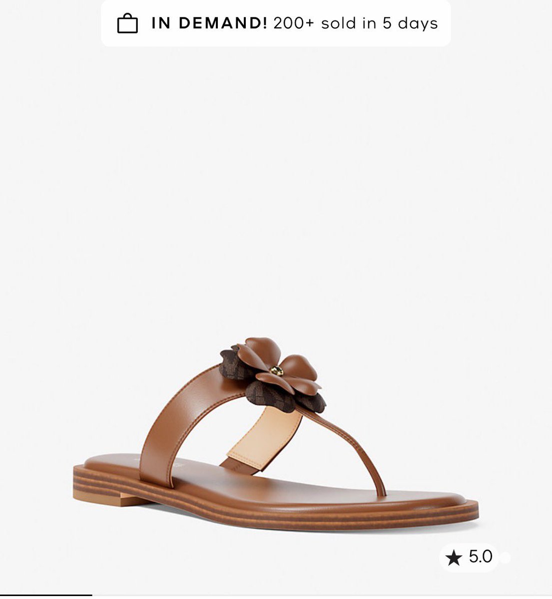 B🪽✨ tweet media