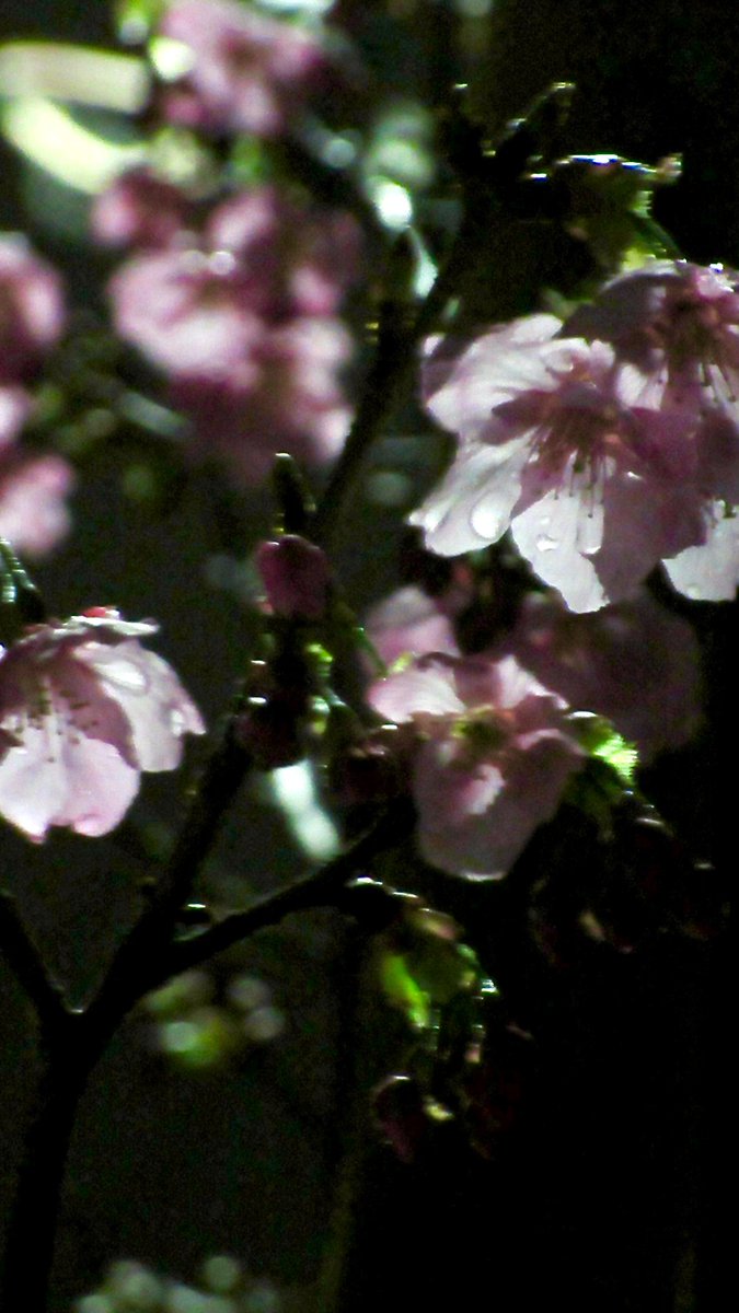 すがくん♨️ ゼンジン4/18 tweet media