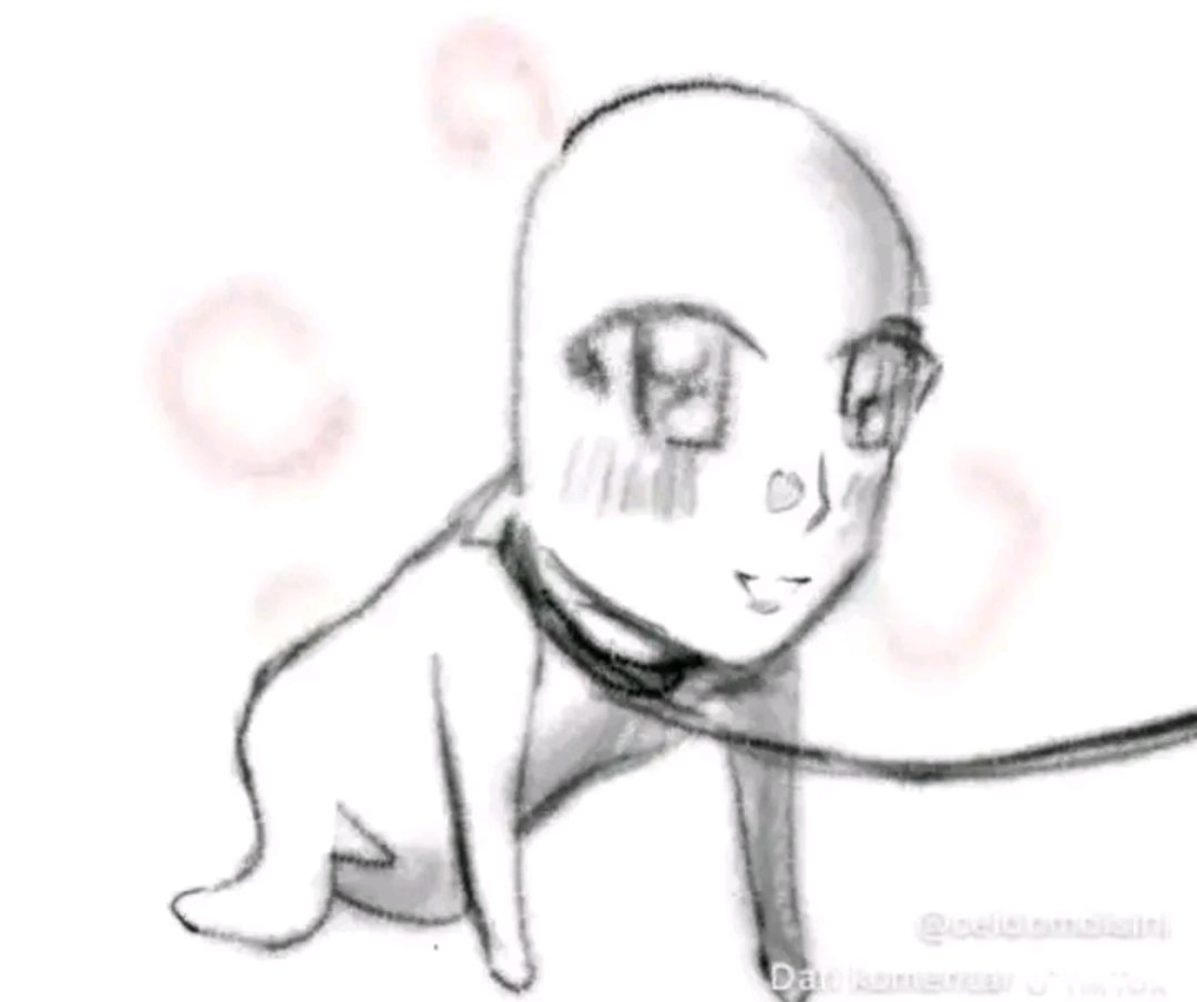 7th year ; Chel 𖣂⁵🐇 tweet media