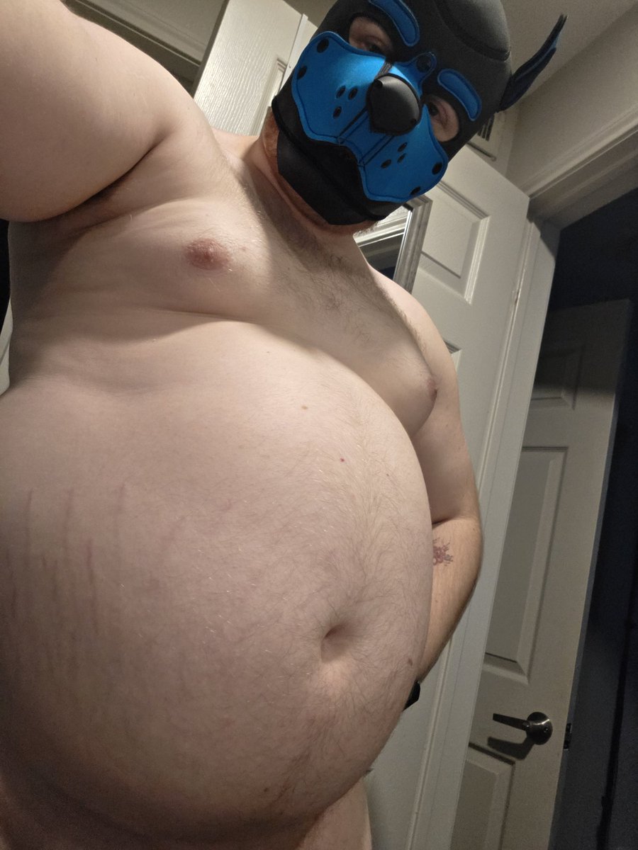 Eclipse Warnock tweet media