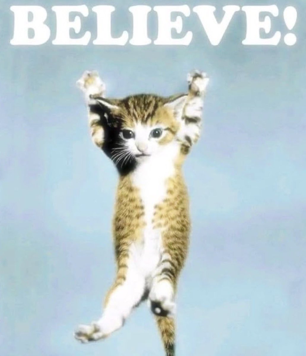 Andrew (housewife era) tweet media