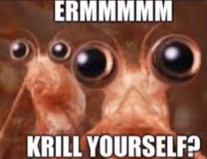 Crabtain tweet media