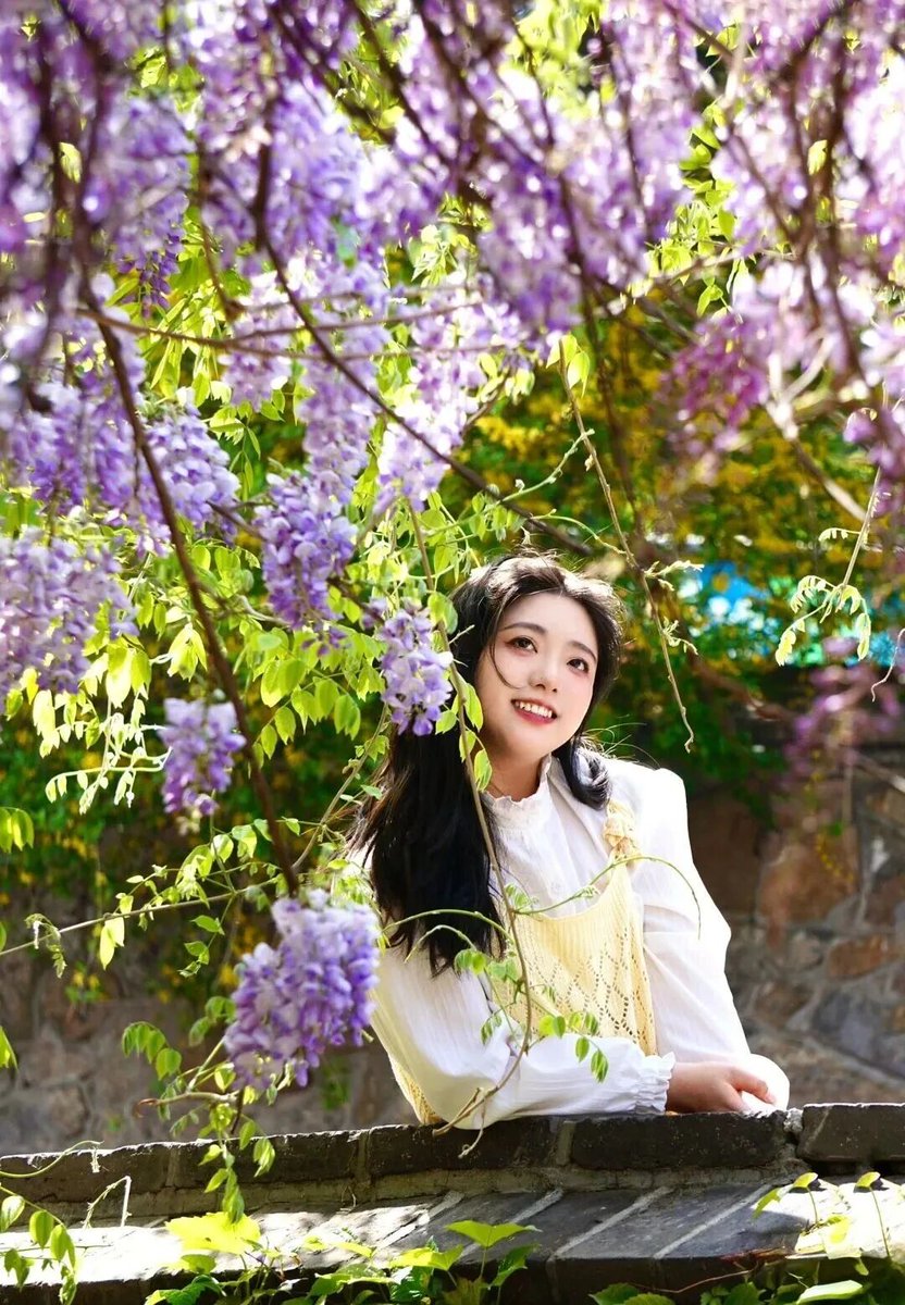 aizailongkou's tweet image. Under the #warm spring sun, clusters of #wisteria hang down like a waterfall cascading from above, breathtakingly beautiful! #Yantai