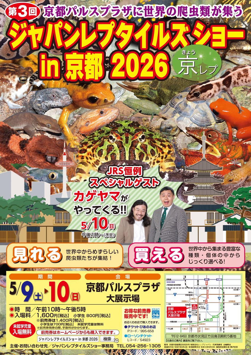 第3回目開催のジャパンレプタイルズショーin京都のご案内です。

京都市伏見区にある京都パルスプラザは関西圏で開催する唯一のJRSです!

現在、出展者さま募集中です。
よろしくお願い致します🤲